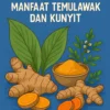 Mengatasi Radang dengan Herbal: Manfaat Temulawak dan Kunyit